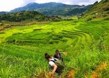 Sapa Tours