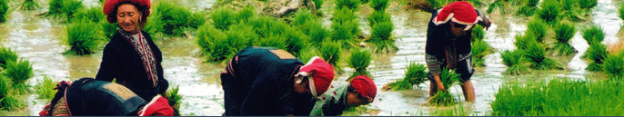 sapa travel