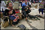 Bac Ha market