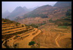 Foot of Fansipan Trek 