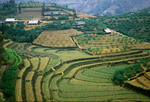 sapa tour,sapa travel