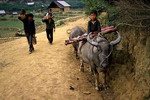 Sapa tuor,sapa travel